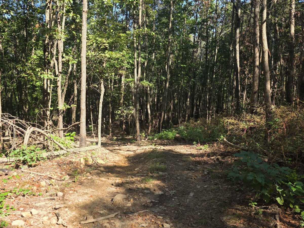 Jason's Trail photo 5