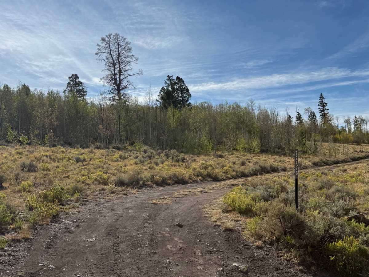 East Fork Spur 2 photo 4