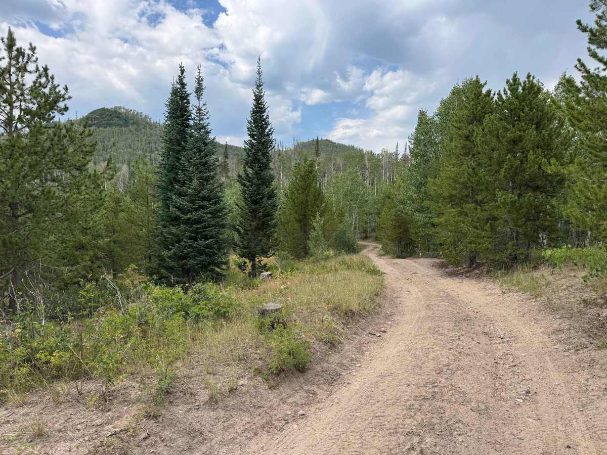Long Draw Road trail photo