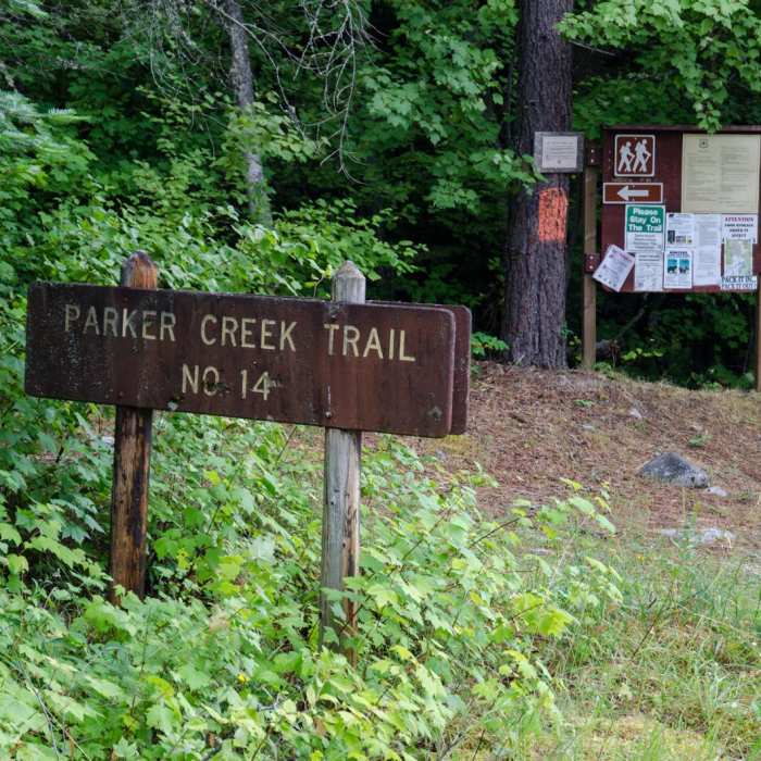 Near Pacific Northwest National Scenic Trail Section 5