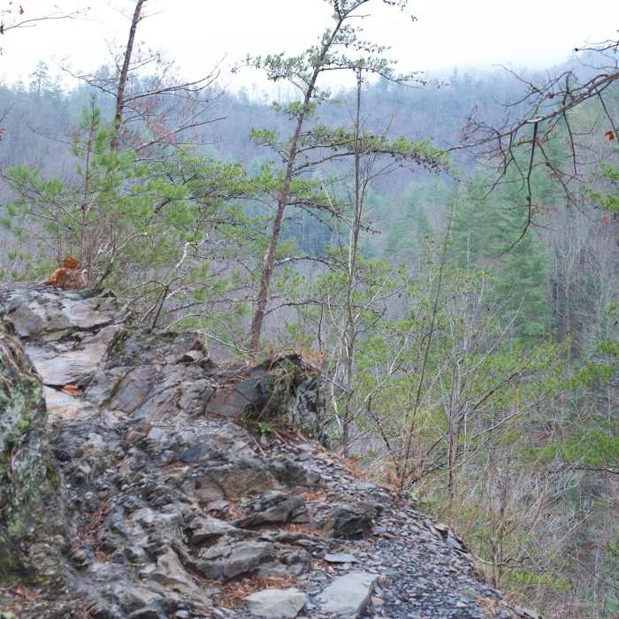 The trail can be very rocky, as you see here. You definitely need to watch your footing. Near Spruce Flats Falls Trail