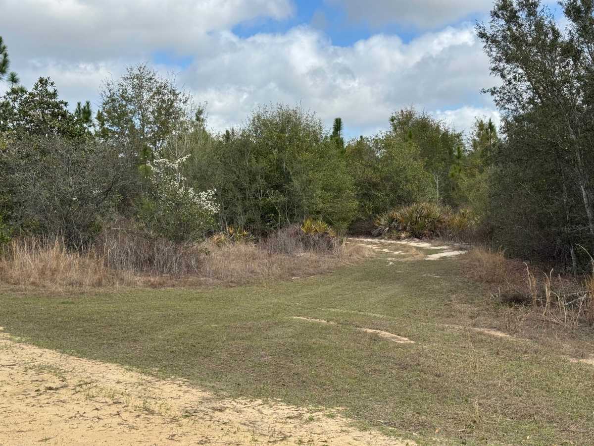 Hunting Road trail photo
