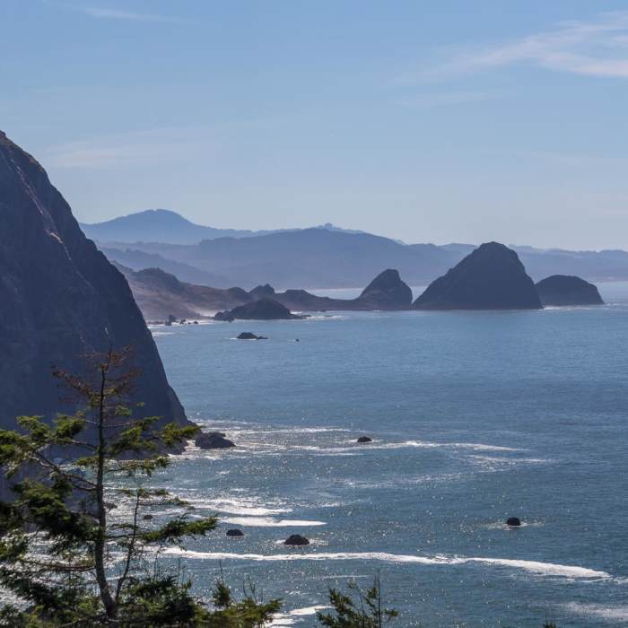 Near Oregon Coast Trail Section 9