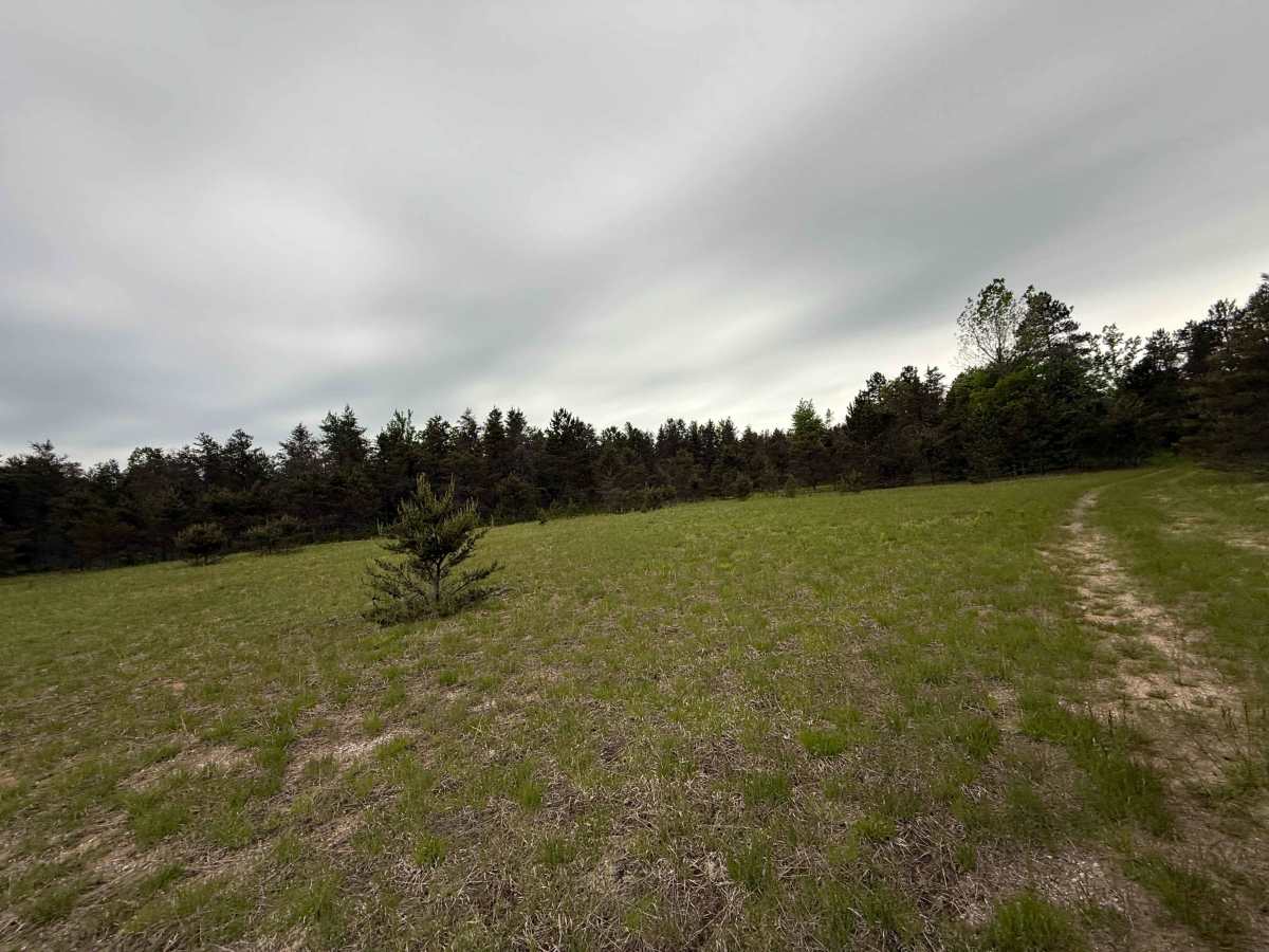 Crofton West Trail photo 6