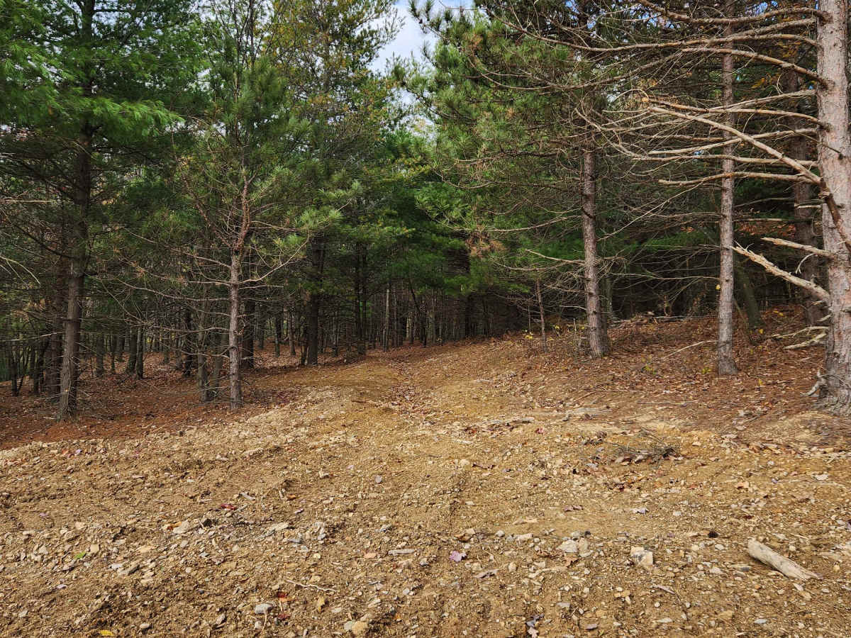 OHV 5 - Rock Run Recreation Area photo 2