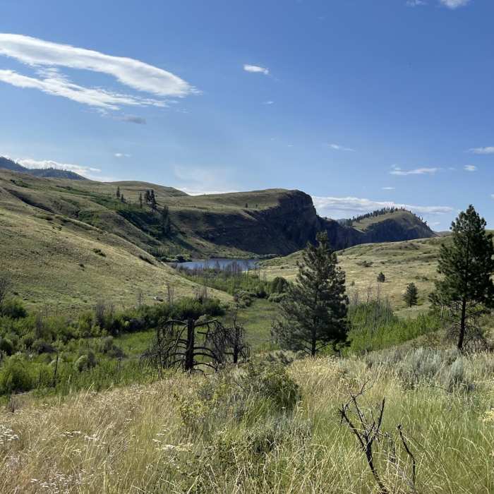 Near Pipestone Canyon Loop