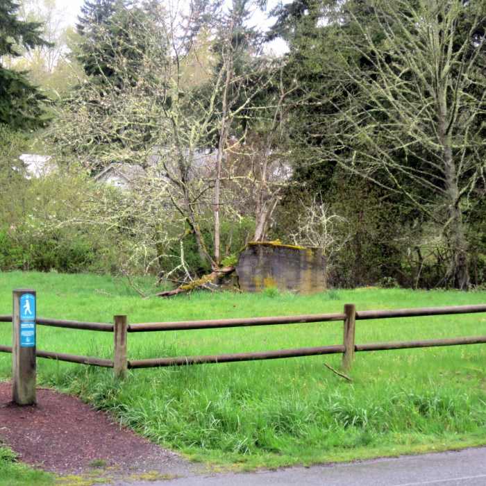 Near Coal Creek Trail