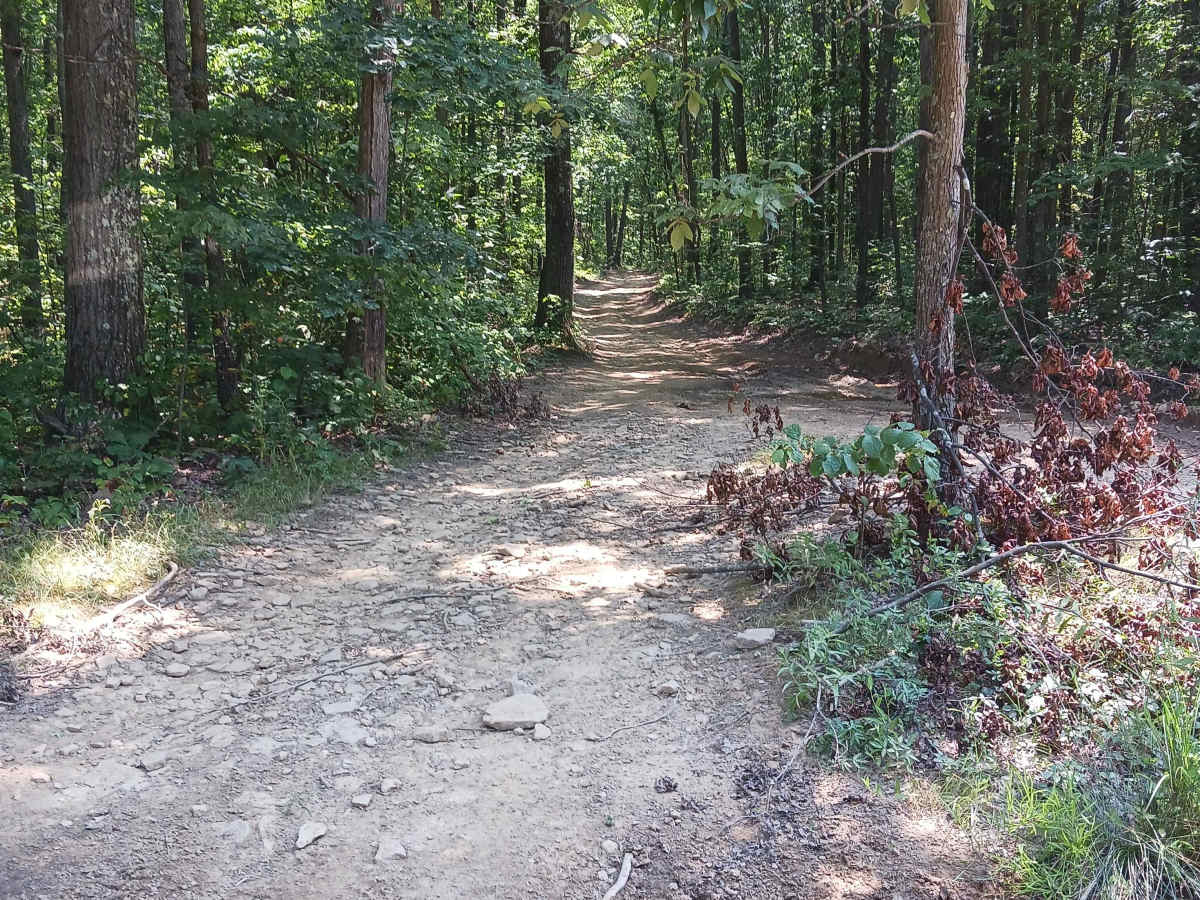 Oak Lane - Rock Run Recreation Area photo 3