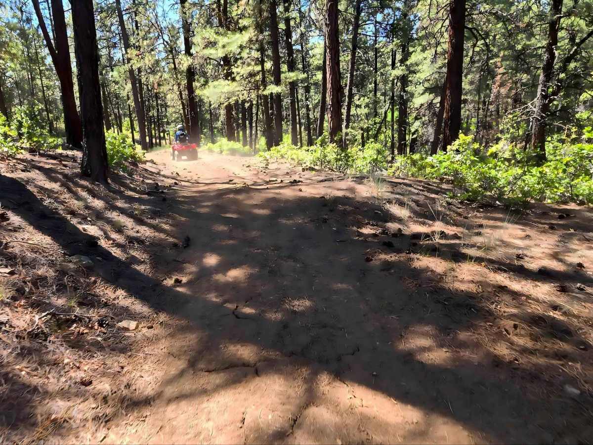 Bull Creek Trail - FS 682 photo 4