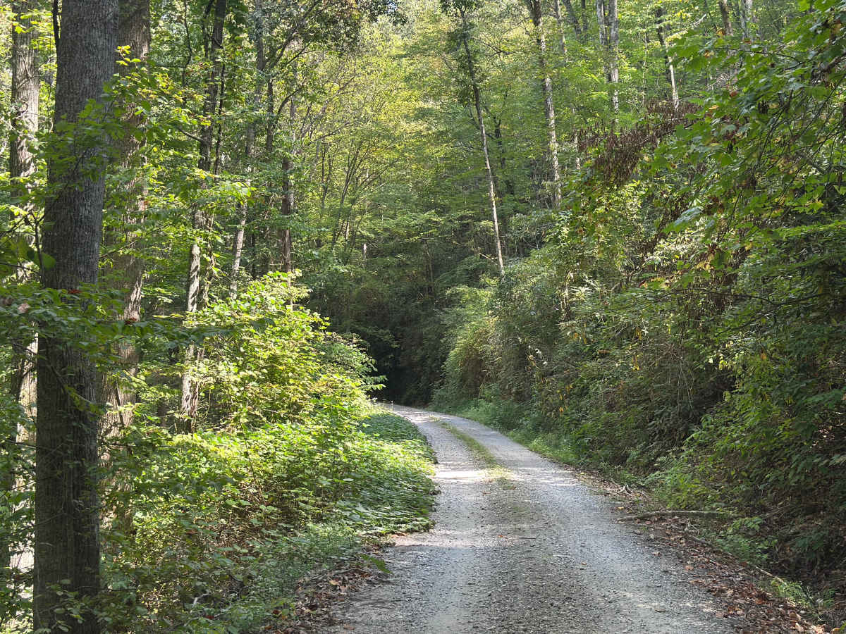 Slickrock Road trail photo