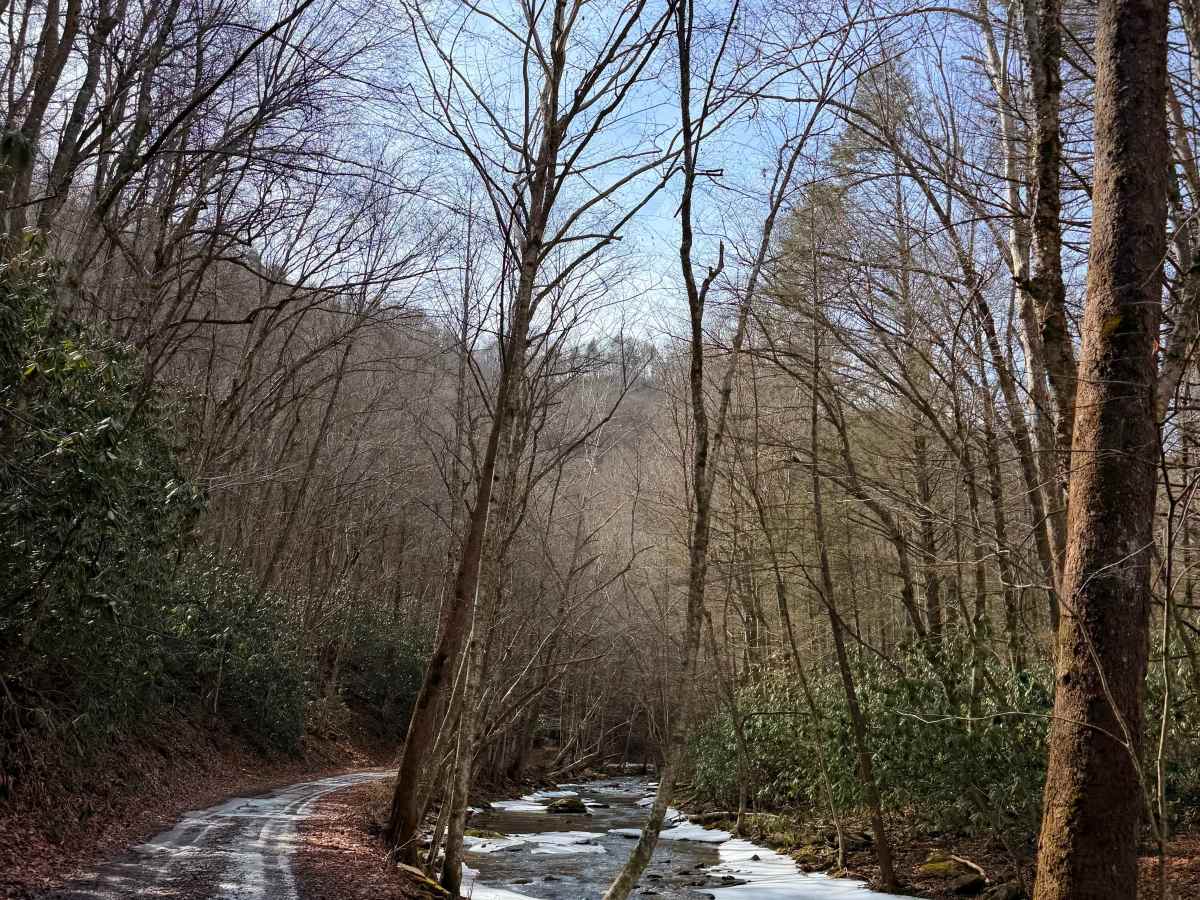 Caney Creek photo 2