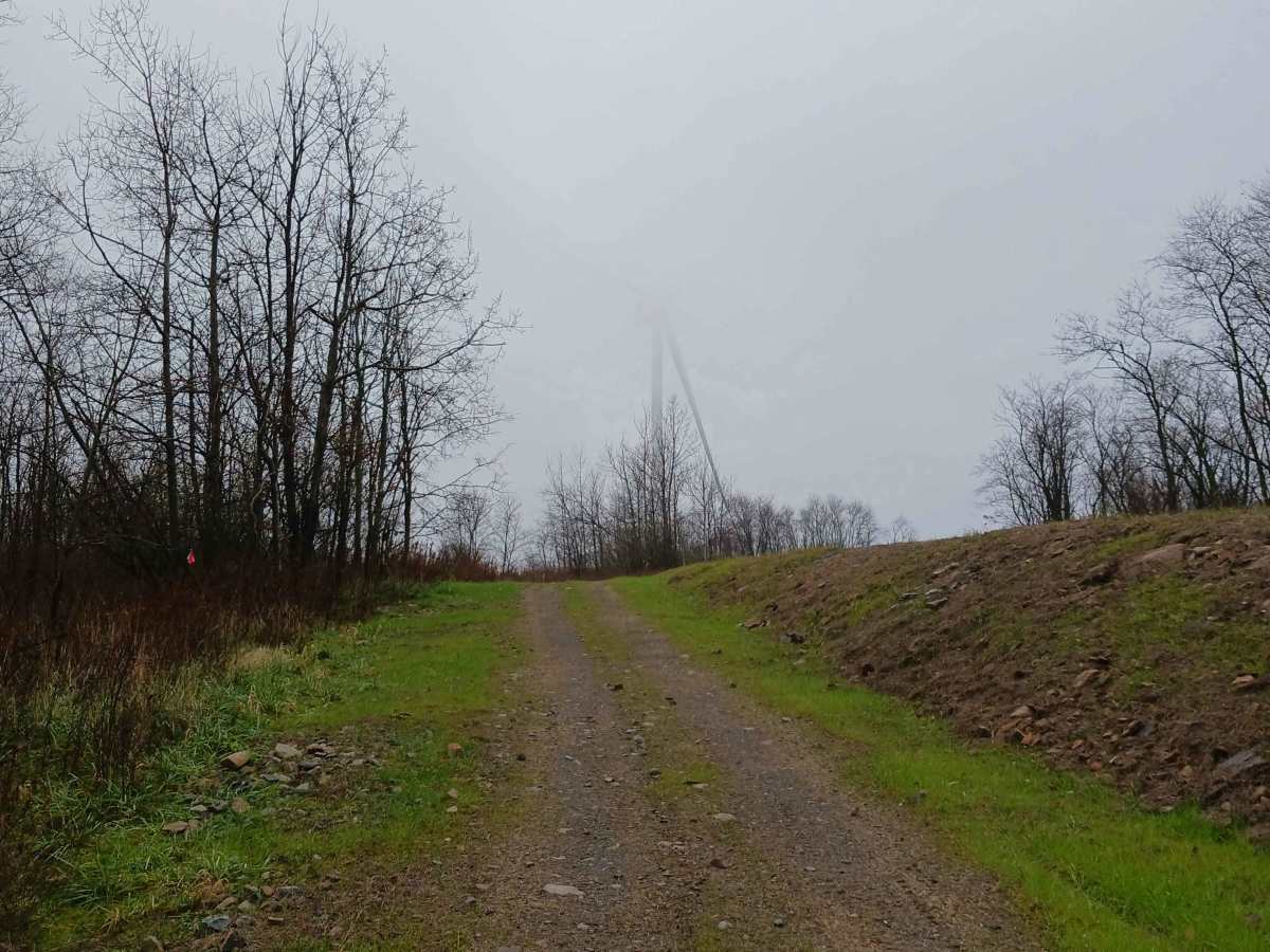 Raptor Path - The OG - Rock Run Recreation Area photo 5