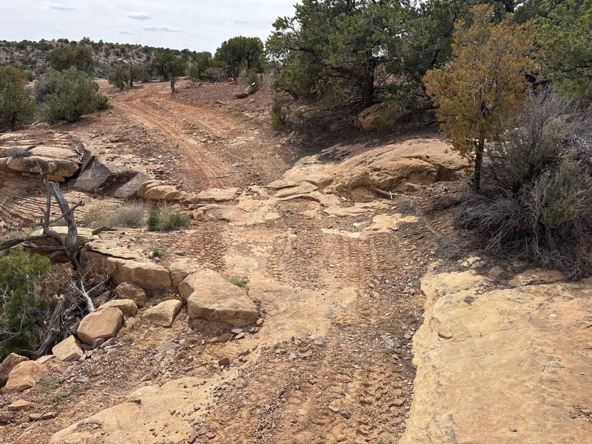 Pack Saddle Flats photo 4