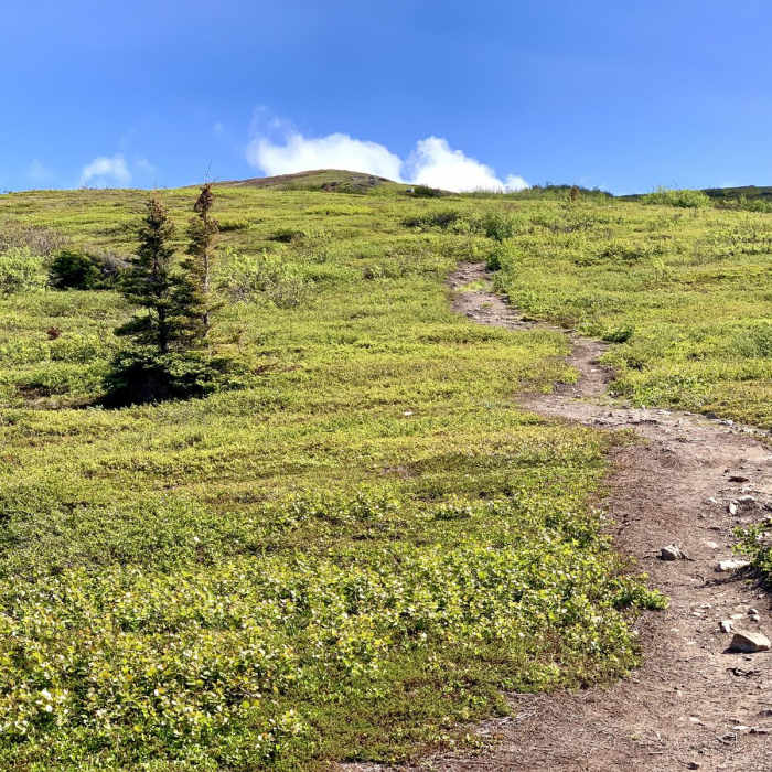 Near Near Point Near Near Point