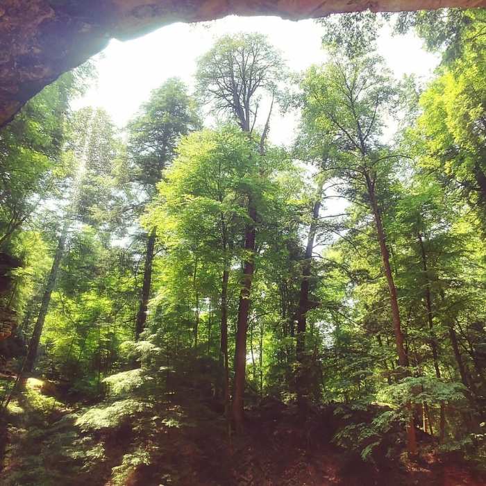 Wide Lens short from in Ash Cave Near Ash Cave Gorge Trail