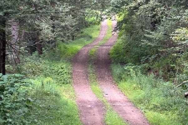 Four Mile Road