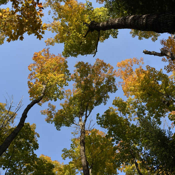 Near Hike to Yellow Dog Falls Near Hike to Yellow Dog Falls