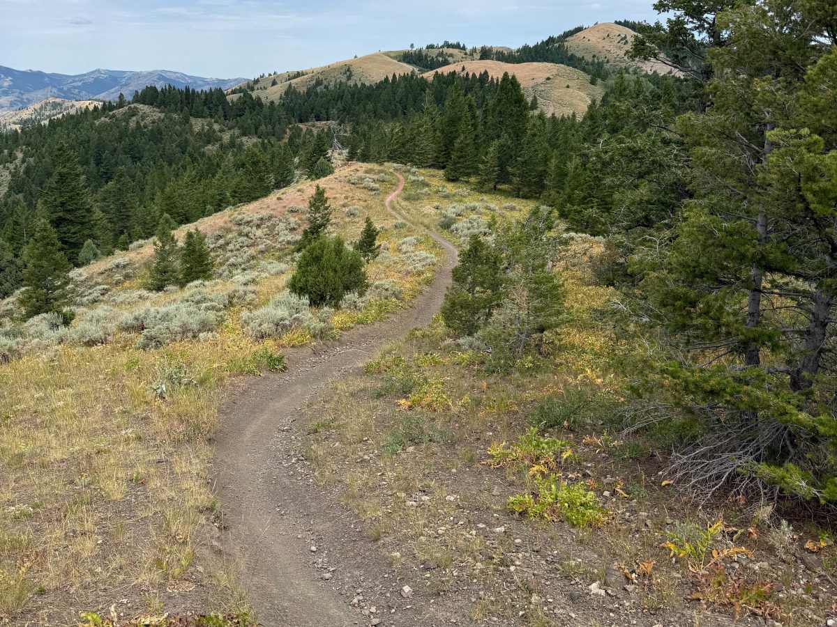 Dead Horse Ridge photo 5