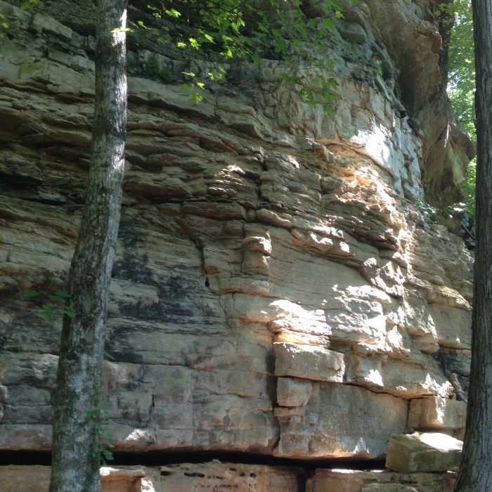 Near McCoy Hollow Trail