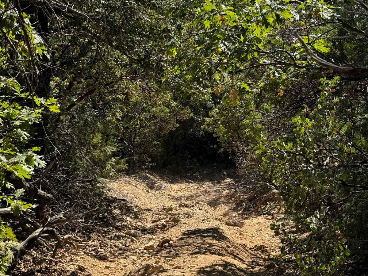Trail 6-1 (11E28)  photo 4