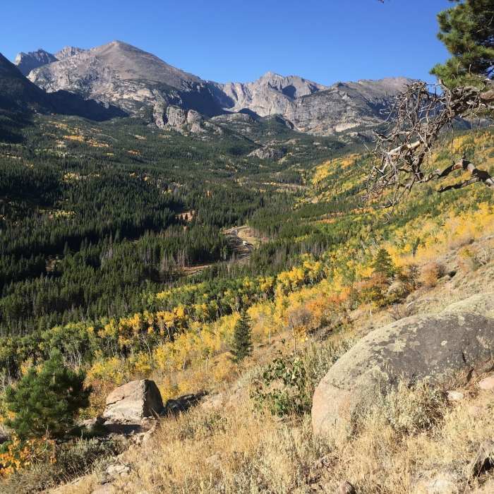 Near Bierstadt Lake Trail