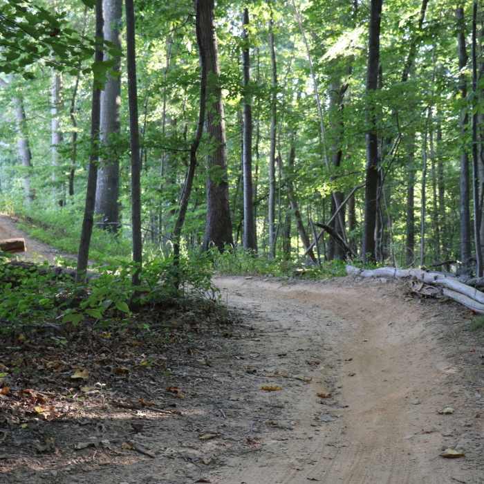 Near Upland Trail