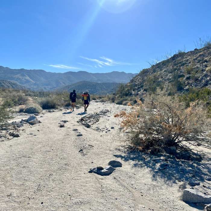 Near Split Rock Petroglyphs