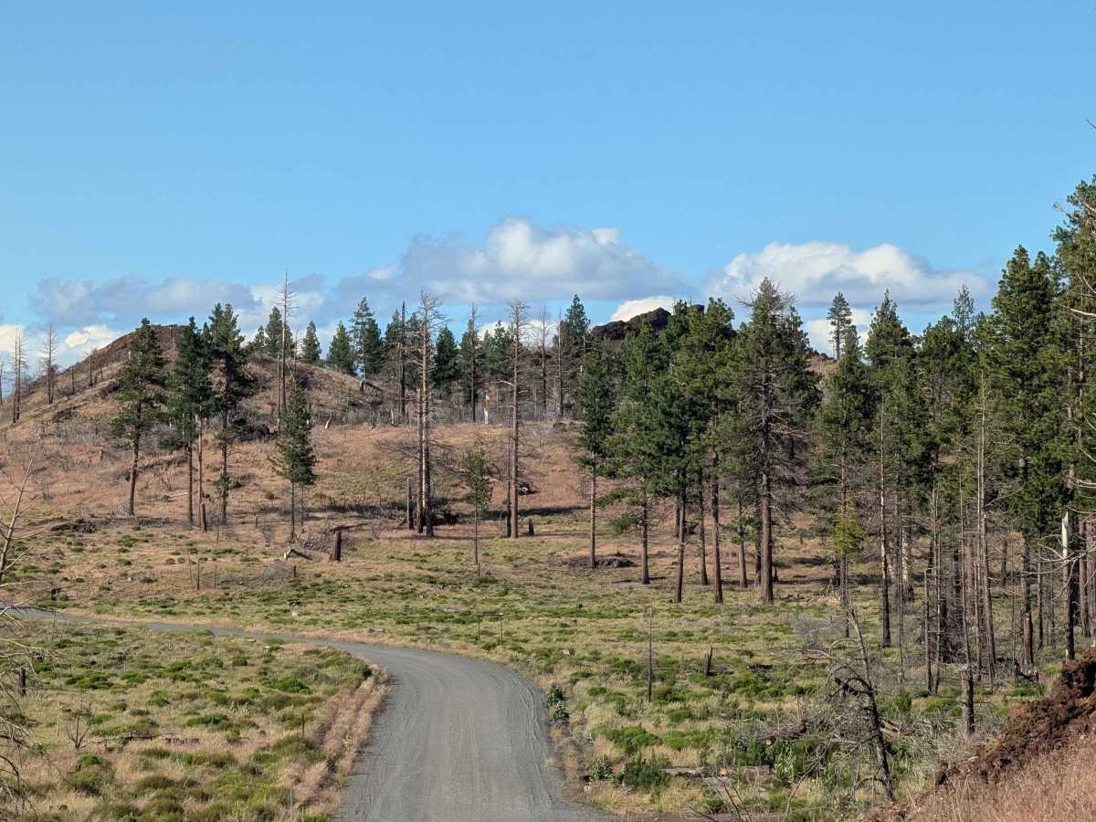 Medicine Lake Road - FS 44N75 photo 2