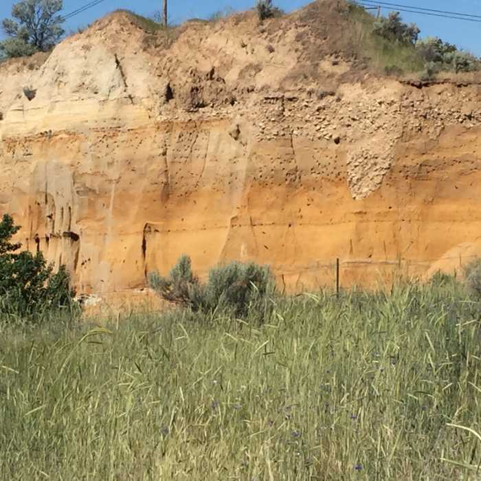 Near Tour de Camel's Back and Hulls Gulch