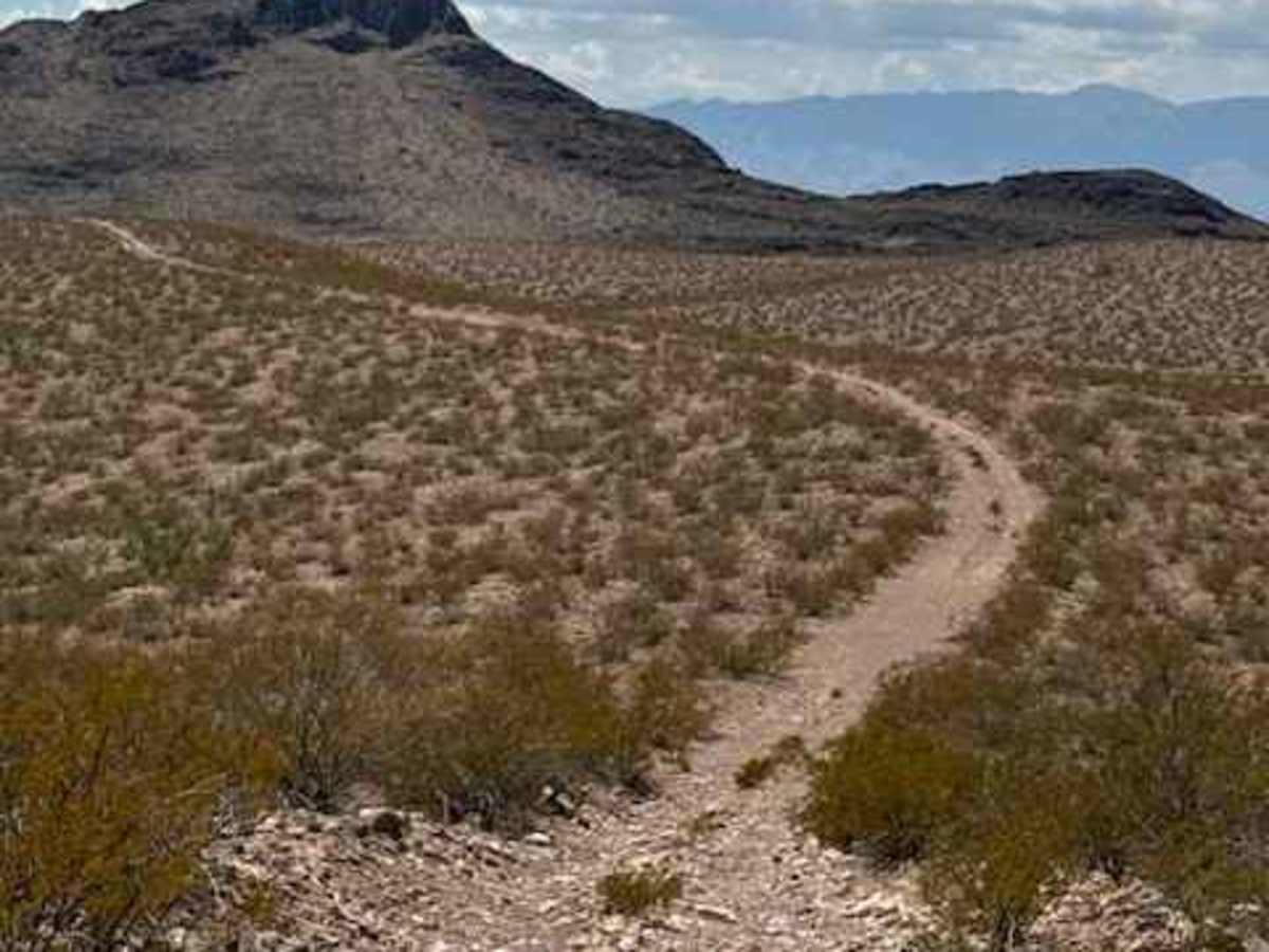 BLM PE1142 photo 2