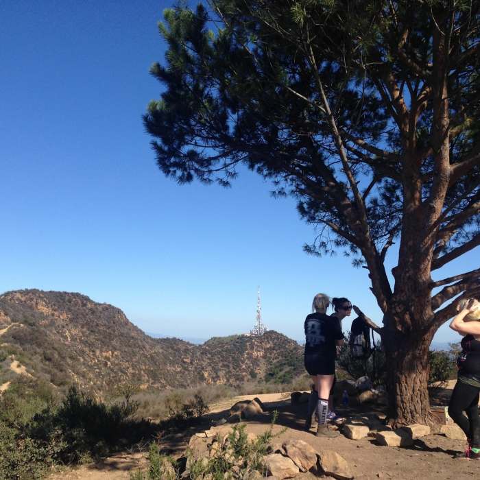 Near Tree of Life Trail