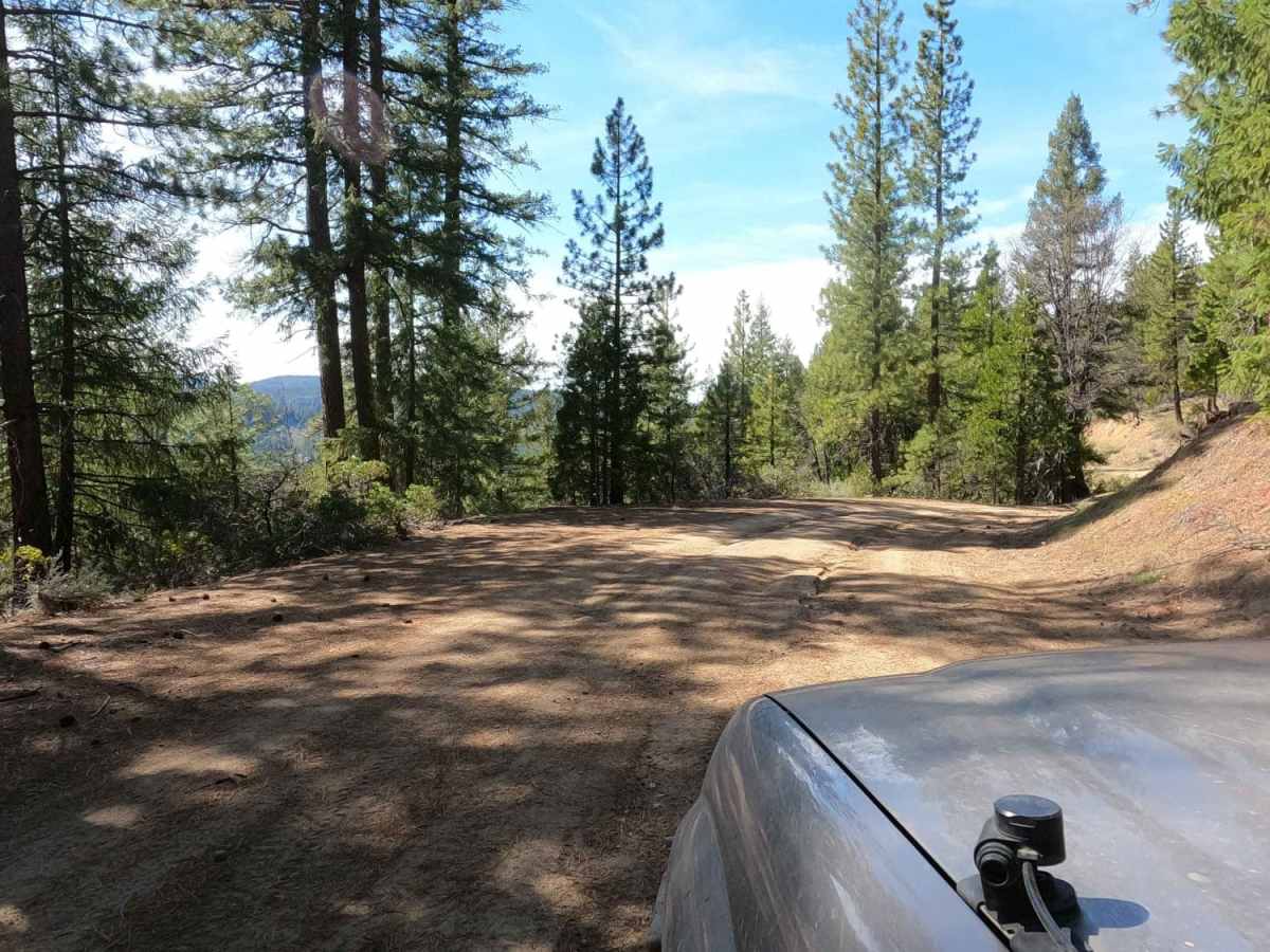 Bonta Creek - NF23N33 photo 6