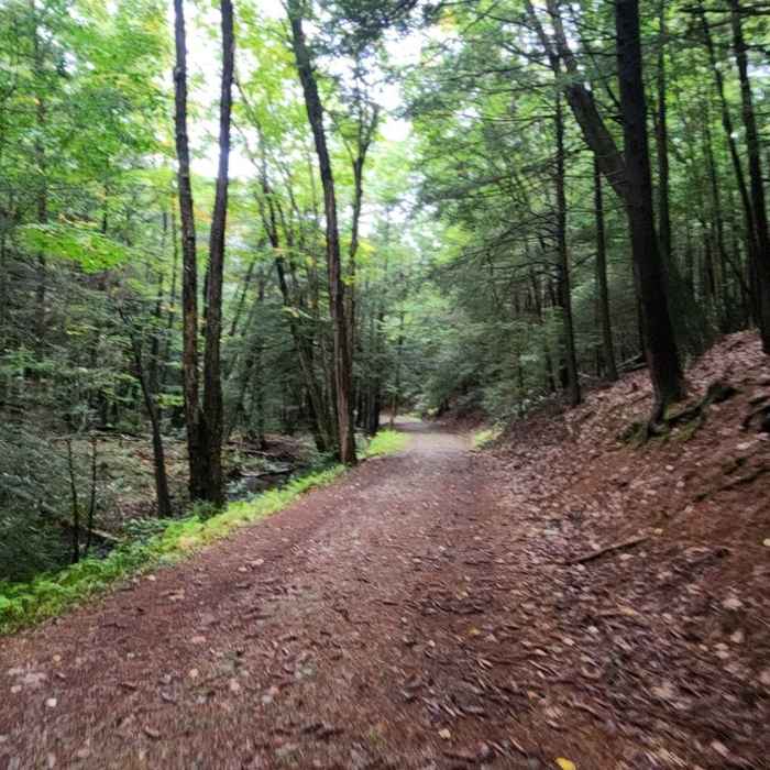 Near New Germany Outer Trail Loop