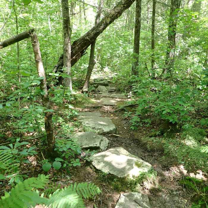 Near Terrace Pond West Loop Near Terrace Pond West Loop