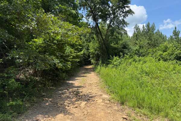 Dry Creek