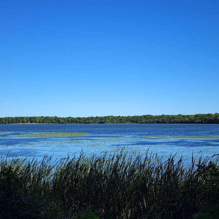 South end of Lake Rebecca. Near Lake Rebecca SW Loop