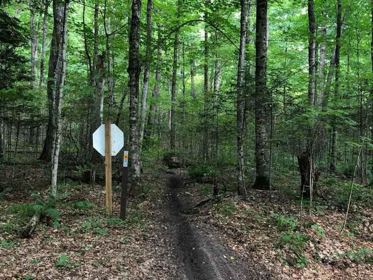 Sandtown trail photo