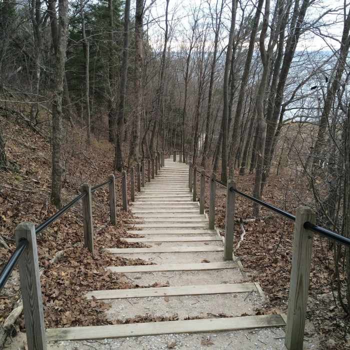 Near Rosy Mound Hike