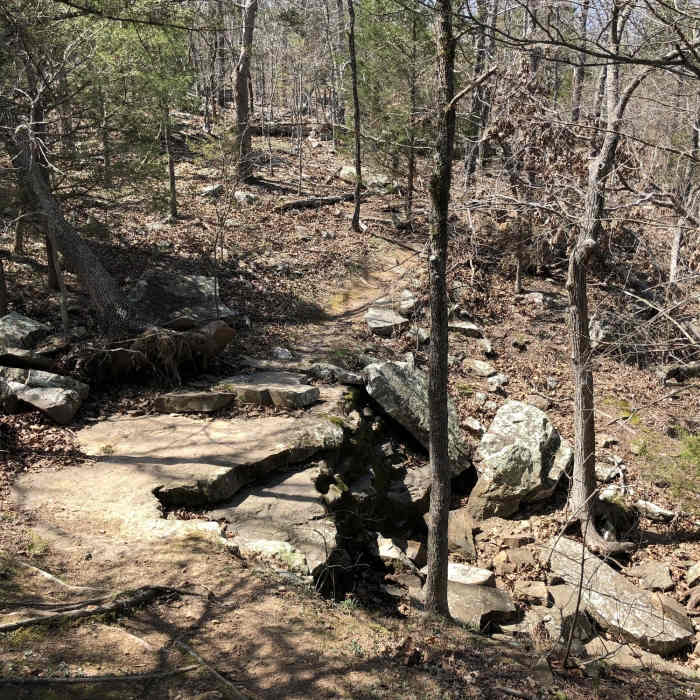 Near Overlook Nature Trail