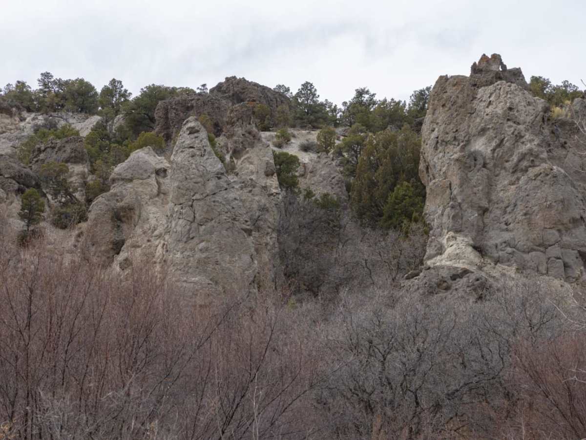 Oak Ridge to Brown's Hole Trail photo 4