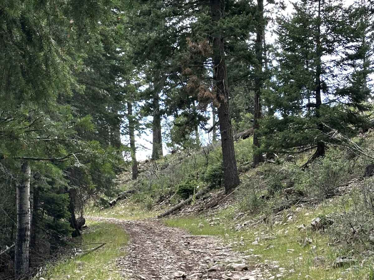Benson Ridge South photo 6