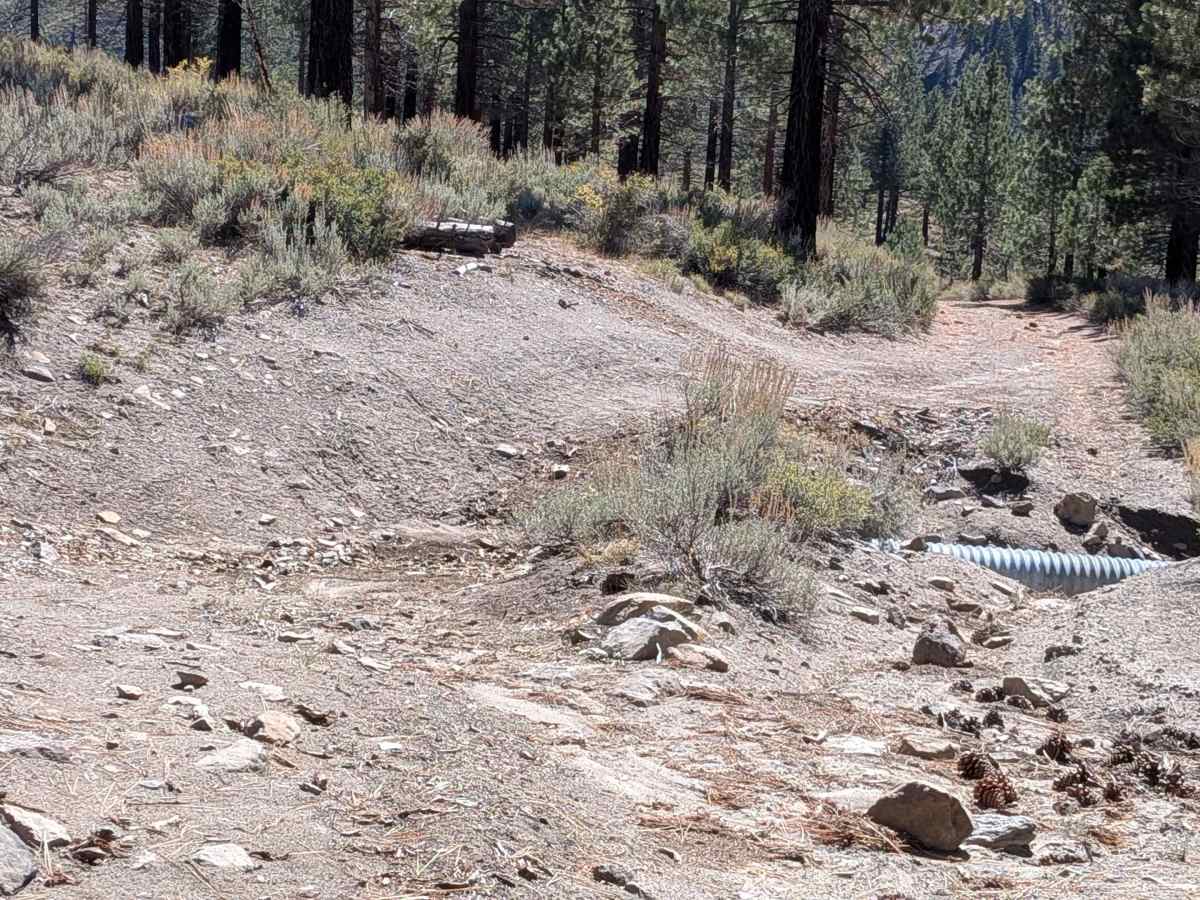 Wall Mountain Springs Road photo 3