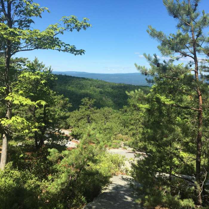 Near Shawangunk Ridge Trail: Peterskill Section