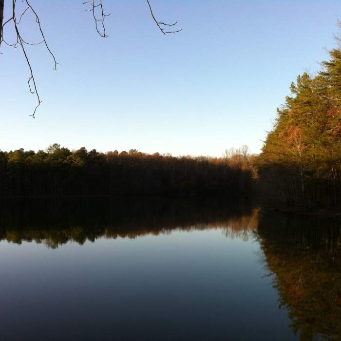 Bob Ross Near Madison County Nature Trail