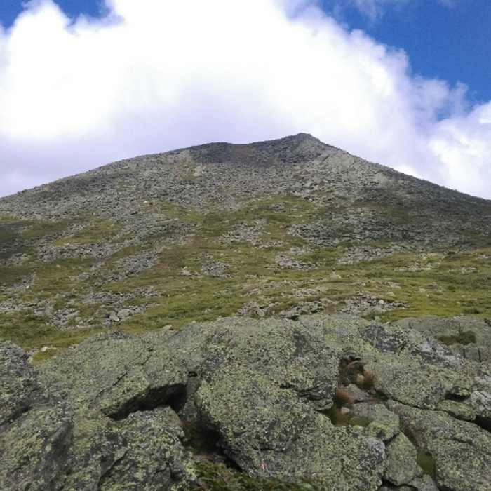 Summit Near Caps Ridge Trail