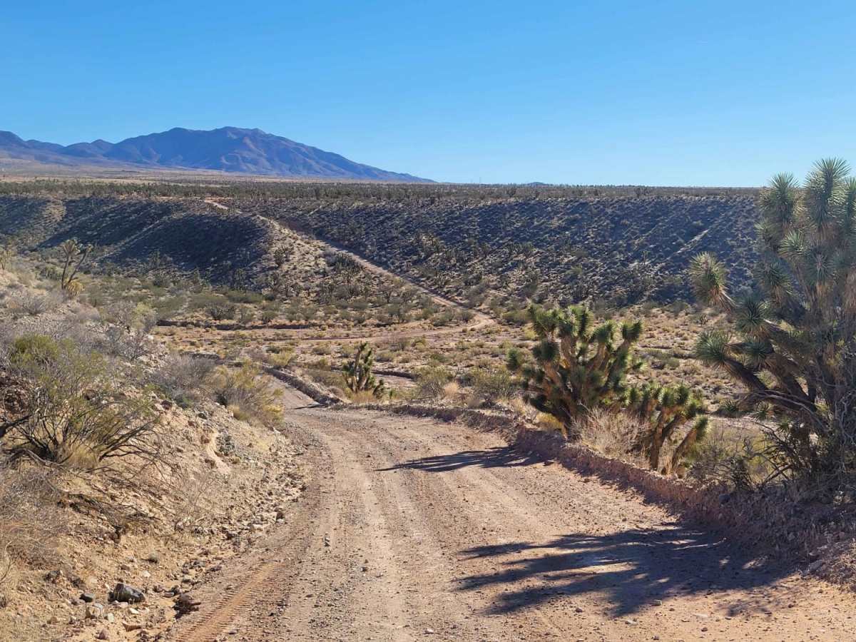 Jackson Wash trail photo