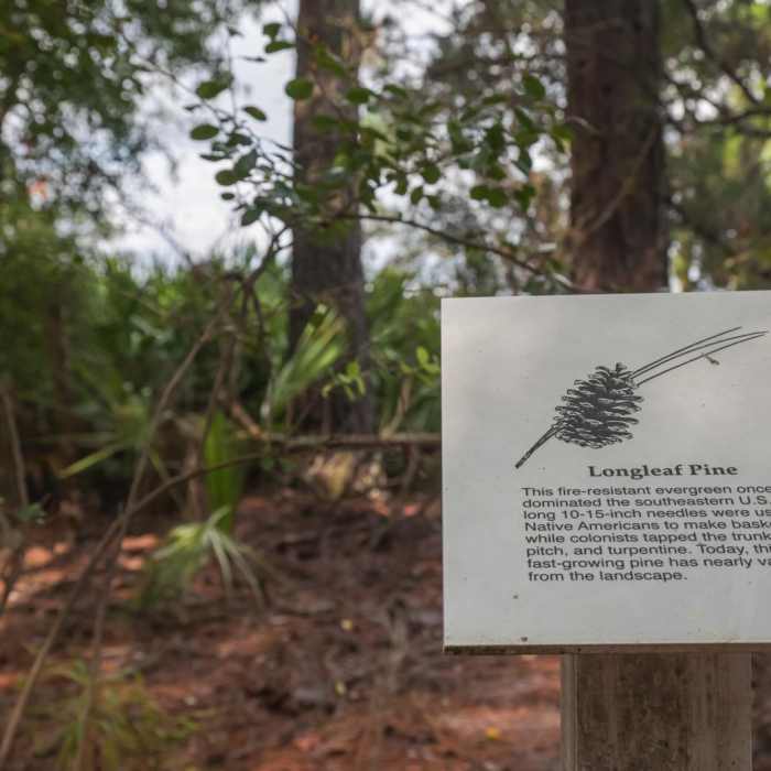 Near Battery Trail Near Battery Trail