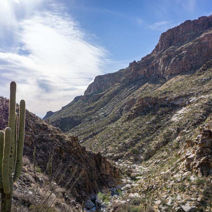 Near Bear Canyon Trail #29