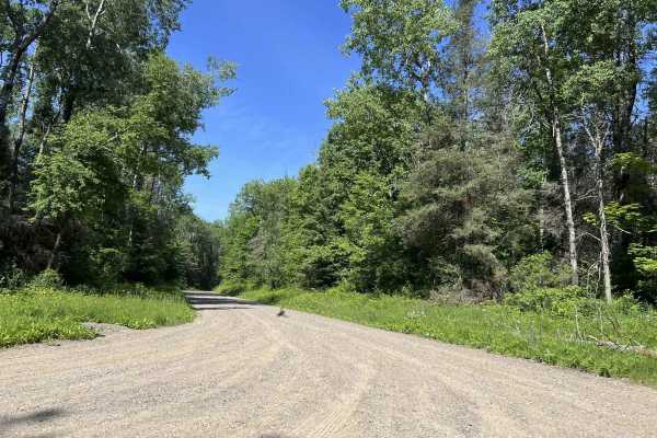 Peshtigo River Road - FS 2131