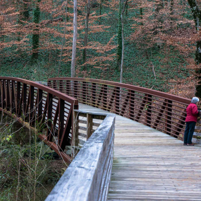 Boardwalk Near Decatur Water Works Ruins